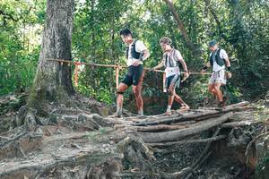 BIB: 
                            <button type="button" onclick="openModal(27743797)" class="btn btn-primary btn-sm float-right btn-popup" data-toggle="modal" data-target=".modal-high-quality">
                        <i class="fas fa-shopping-cart"></i> Add to Cart
                    </button>
                                            <button type="button" onclick="isThisMe(27743797, true)" class="btn btn-success btn-sm float-right btn-popup btn-isme hidden" data-toggle="tooltip" data-placement="bottom" title="นี่คือรูปของคุณใช่ไหม คลิกที่นี่เพื่อเอาเข้าอัลบั้ม">
                        <i class="fas fa-plus"></i> Add to album
                    </button>
                    <button type="button" onclick="isThisMe(27743797, false)" class="btn btn-warning btn-sm float-right btn-popup btn-isnotme hidden">
                        <i class="fas fa-ban"></i> Remove from album
                    </button>